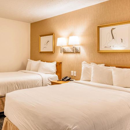 Motel Mistral Rouyn Exterior foto